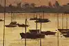 Thumbnail image 5