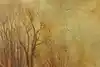 Thumbnail image 10