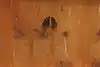 Thumbnail image 15