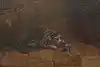 Thumbnail image 5
