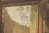 Thumbnail image 8