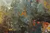 Thumbnail image 8