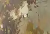 Thumbnail image 12