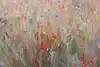 Thumbnail image 11