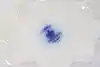 Thumbnail image 12