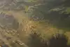 Thumbnail image 10