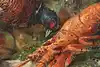 Thumbnail image 10