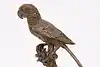 Thumbnail image 9