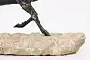 Thumbnail image 14