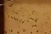 Thumbnail image 12