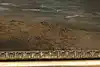 Thumbnail image 12