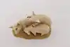 Thumbnail image 7