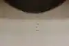 Thumbnail image 15