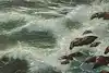 Thumbnail image 9