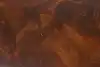 Thumbnail image 13