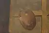 Thumbnail image 12