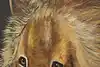 Thumbnail image 7