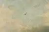 Thumbnail image 10