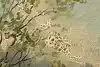 Thumbnail image 11