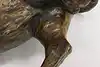 Thumbnail image 9