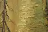 Thumbnail image 9