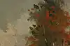 Thumbnail image 8
