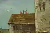 Thumbnail image 8