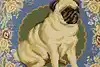 Thumbnail image 6