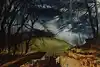 Thumbnail image 8