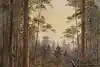 Thumbnail image 1