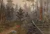 Thumbnail image 6