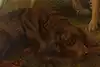 Thumbnail image 10