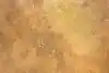 Thumbnail image 10