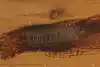 Thumbnail image 15