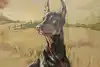 Thumbnail image 5