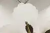 Thumbnail image 9