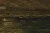 Thumbnail image 9