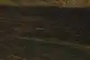 Thumbnail image 10