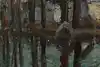 Thumbnail image 10