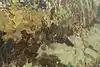 Thumbnail image 13