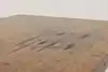Thumbnail image 19