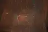 Thumbnail image 21
