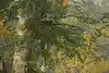 Thumbnail image 9
