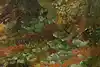 Thumbnail image 8