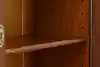 Thumbnail image 19