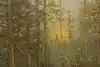 Thumbnail image 5
