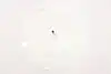 Thumbnail image 3
