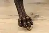 Thumbnail image 21