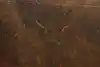 Thumbnail image 9