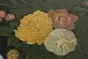Thumbnail image 20
